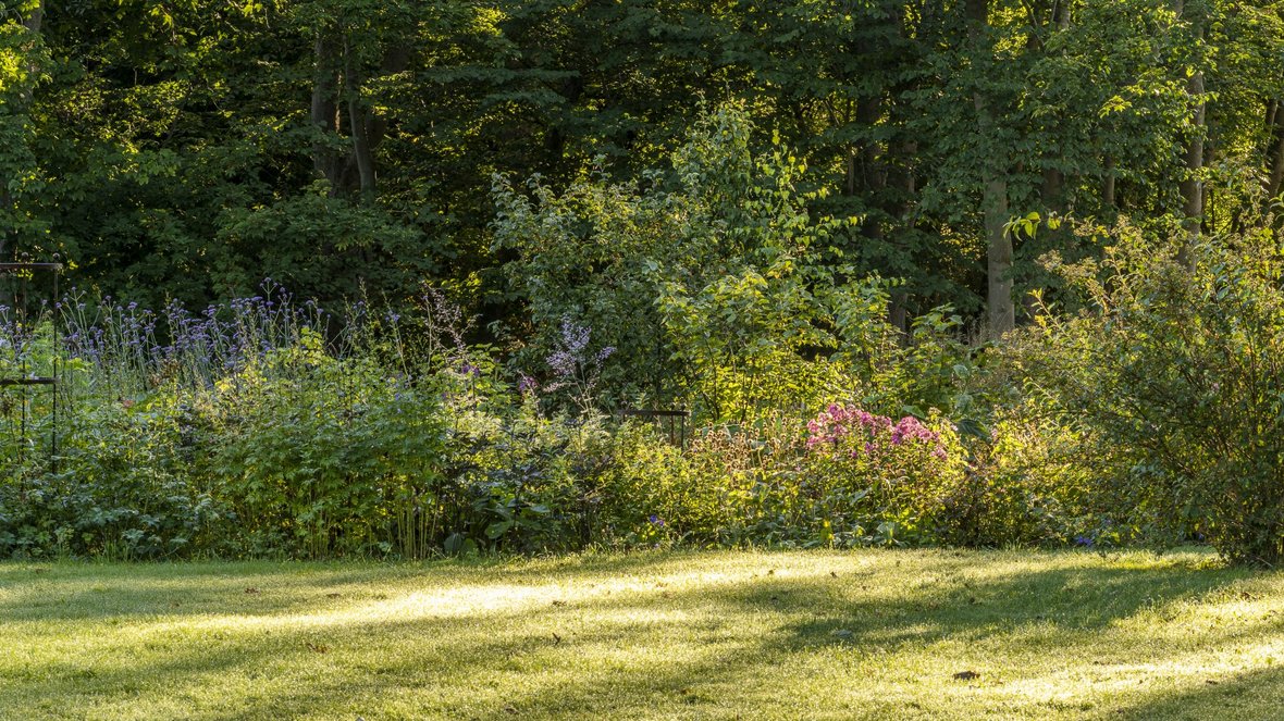 Vild og naturlig have, der også er pæn og styret