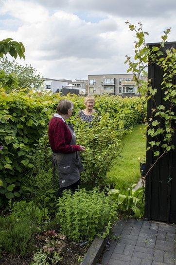 Rosa Væggermose og Aase Hansen i haven