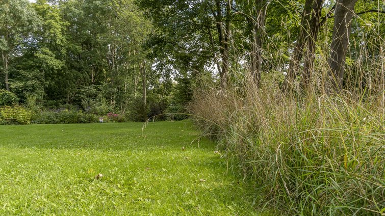 Plæne omgivet af vil have