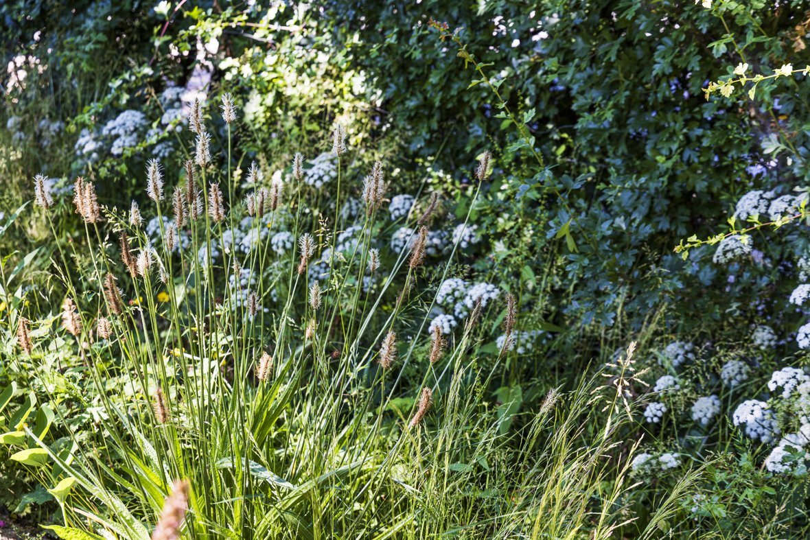 Blomster i Malene Lei Rabens have
