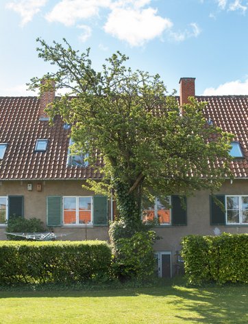 Engriflet hvidtjørn foran hus