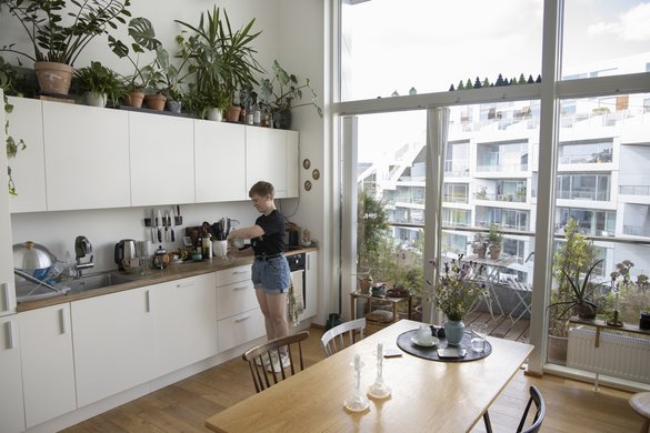 Lejlighed og altan med masser af grønne planter