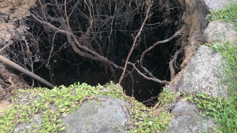 Jorden forsvandt under Karens fødder: Derfor kan der opstå jordhuller i haven