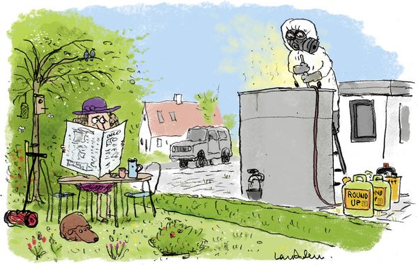 Der er ingen regler, der forbyder din nabo at anvende Roundup omkring hækken eller plankeværket ind til din grund.
Illustration: Lars Andersen