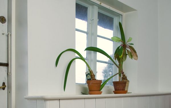 Hvid vindueskarm