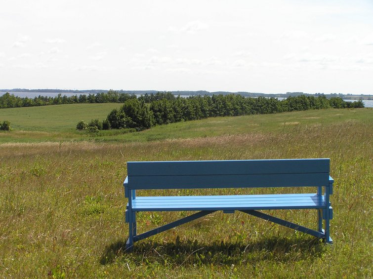 En bænk i det fri