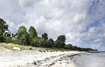 Hvilke konsekvenser forventes klimaændringer at have?