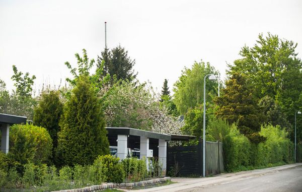 Hvis et teleselskab og din nabo er enige om at sætte en mobilmast som denne mast, der ligner en flagstang, op i naboens have, og de følger kommunens regler, kan du normalt ikke gøre så meget ved det.
Foto: Torben Klint