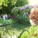 Monets have