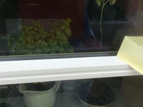 Malertape fjernes fra liste i vindue Malertape fjernes fra liste i vindue