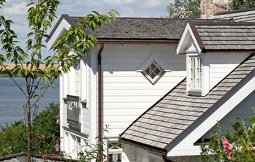 Vedligeholdelse kviste