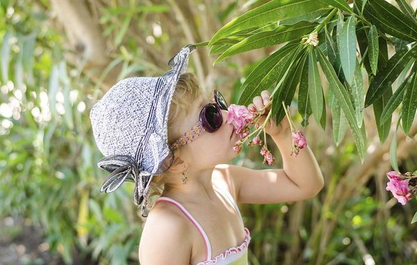 Giftige planter nerie haven Nerien er en meget giftig plante