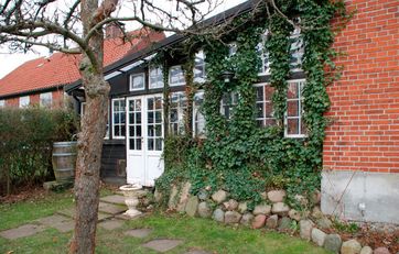 Klatreplante på facade