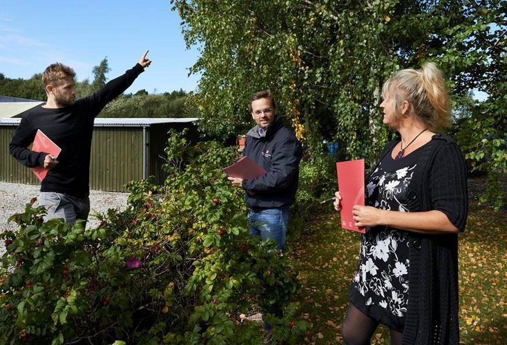 Hæk og hegn i skel - her er de vigtigste regler