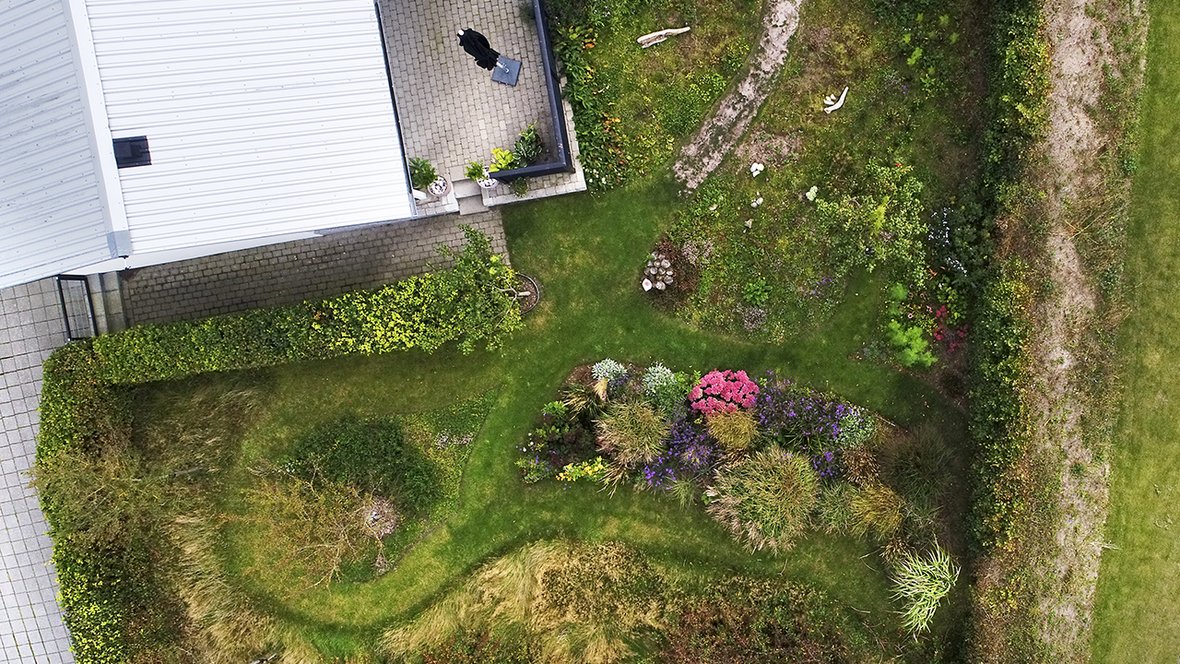 Indretning af vild have set ovenfra