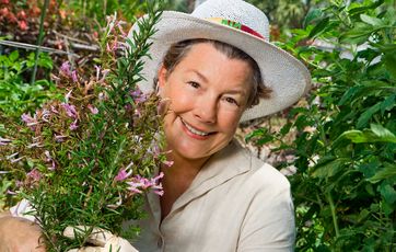Rosmarin kan godt tåle lidt nattefrost, men når der også bliver minusgrader om dagen, skal planten indenfor.