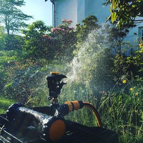 Sprinkler i haven Sprinkler i haven