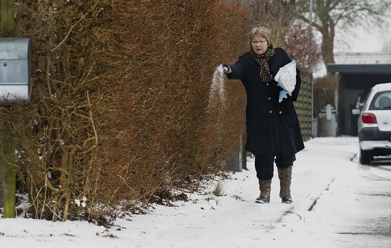 Brug saltlage i stedet for salt til at salte fortovet