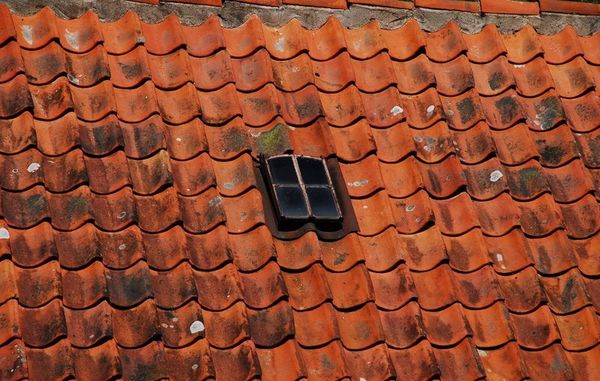 Manglende vedligeholdelse af taget, kan få alvorlige konsekvenser for resten af bygningen.