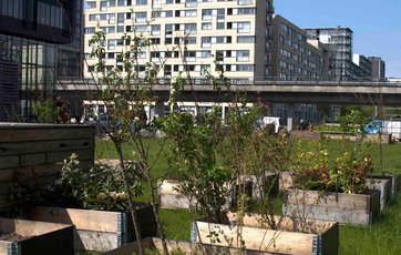 Samling af højbede blandt boligblokke