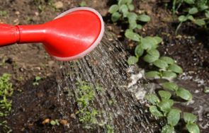 Plantevanding. Plantevanding.