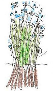 Skitse 1.
Illustration: John Henriksen