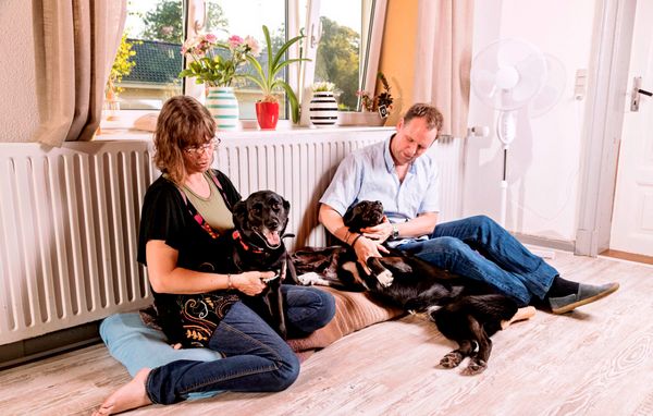 To hunde og deres ejere i deres hjem. To hunde og deres ejere i deres hjem.
