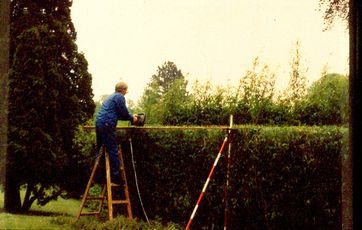 hegnsloven_og_hegnsyn Hegnsloven og vedligeholdelse af fælles hegn.