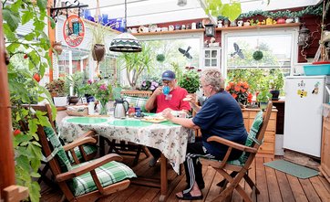 Grønne planter og grøn køkkenhave