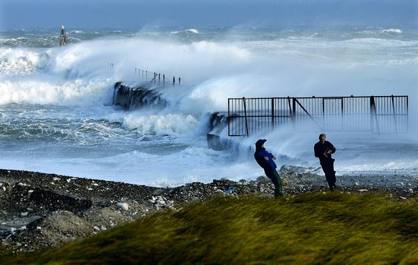 Dækning af skader ved stormflod - forsikring.