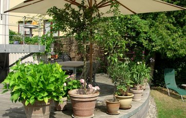 Planter i krukker står ved siden af hinanden på terrasse