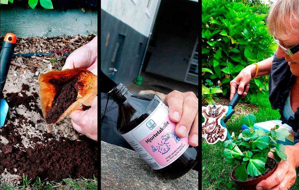 Strø kaffegrums, hæld hjortetaksolie eller plant "Gå væk kat"-planten i eller omkring blomsterbedet - lugten fra disse ting kan i en del tilfælde holde katten væk, så den ikke besørger i dit blomsterbed