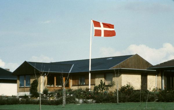 Typehuset er i et plan og er typisk bygget af præfabrikerede materialer.