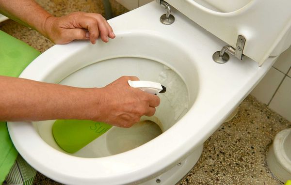 Toiletkumme rengøres med rengøringsmiddel i sprayfalske