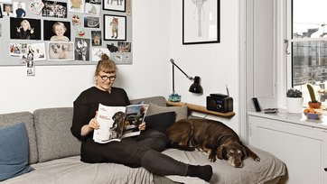 Sofa til hund og børn