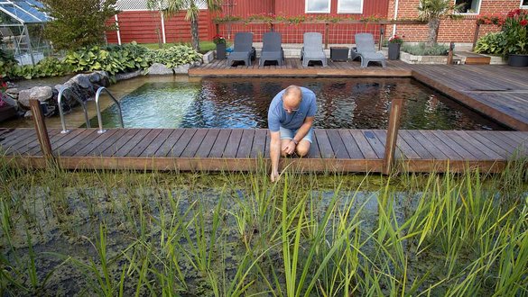 sø med vandplanter renser badesø