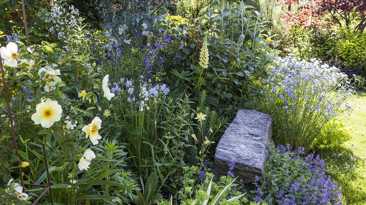Prydhave med blomsterbede i forskellige farver og former
