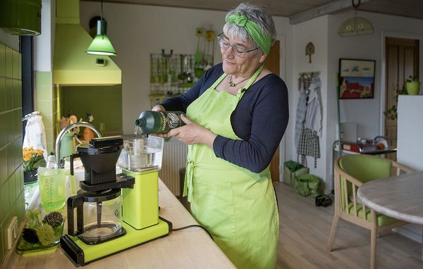 Fru Grøn anbefaler eddikesyre frem for almindelig lagereddike