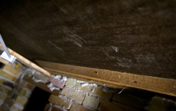 Skimmelsvamp på loftsplader i krybekælder