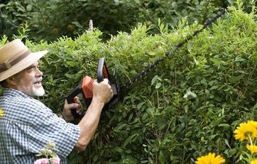 Til større haver kan det være en fordel at benytte en hækkeklipper
