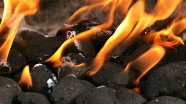 Hvad er bedst – grillkul eller grillbriketter?