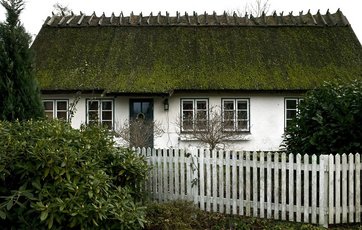 mos på taget