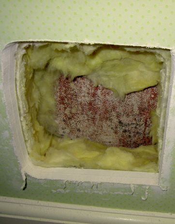 Skimmelsvamp bag indvendig efterisolering. Venligst udlånt af Teknologisk institut.