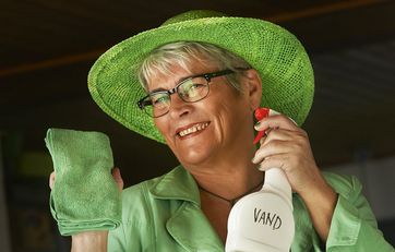 fru grøn husholdnings konsulent