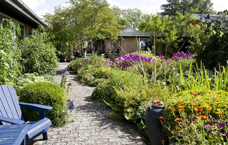blomster i køkkenhaven
