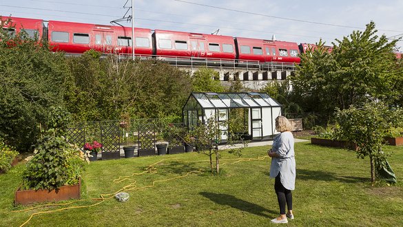 Byhave med fælles dyrkning og drivhus på Frederiksberg