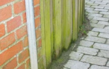 Fugt træfacade