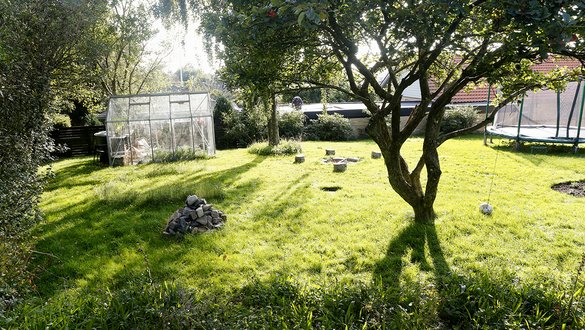 Plant bed med vilde blomster på solrigt sted i haven