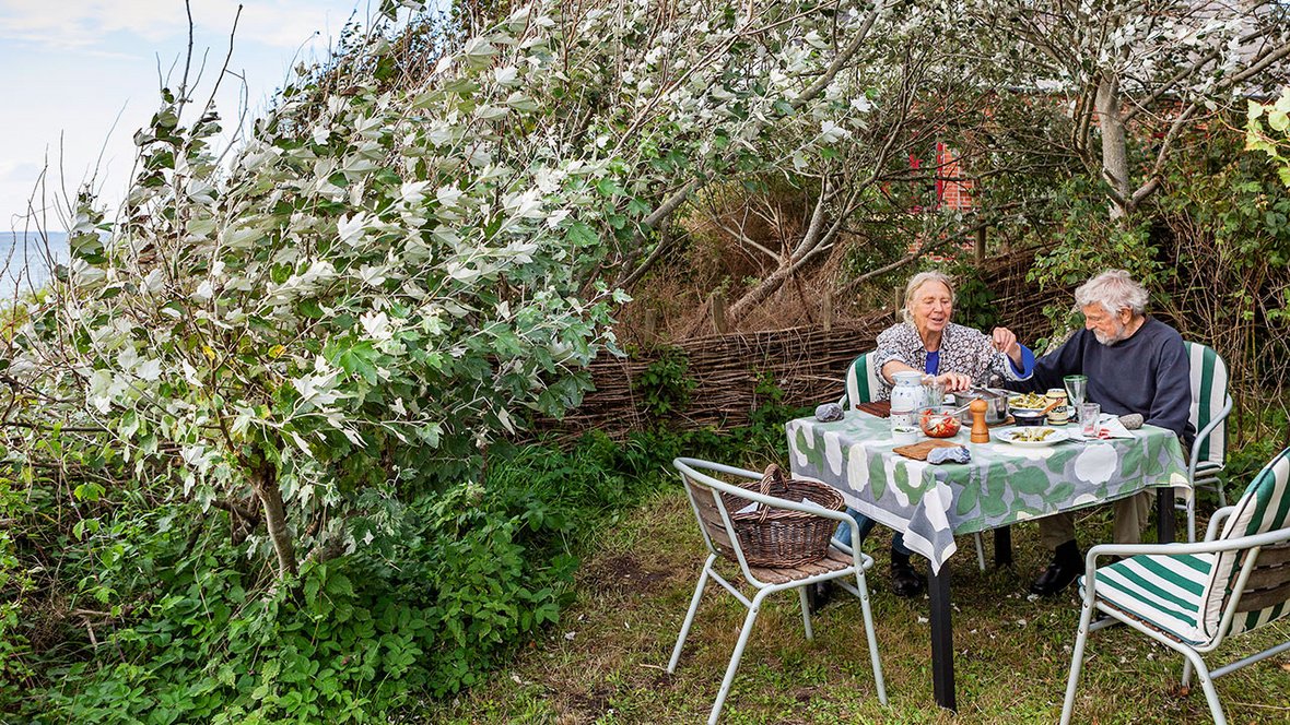 Blæsten fra Lillebælt er hård ved træer og træhus