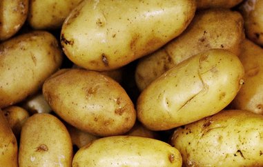 Kartofler: Sådan dyrker du dem